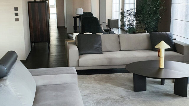 villa n, genève · 01